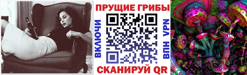Галлюциногенные грибы мицелий  купить наркоту  Холм 